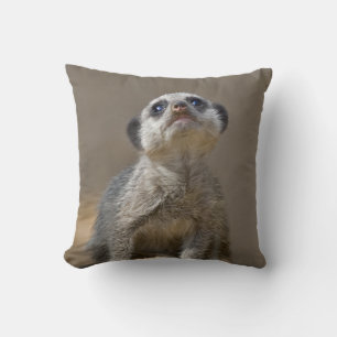 Almohada Kute Kat