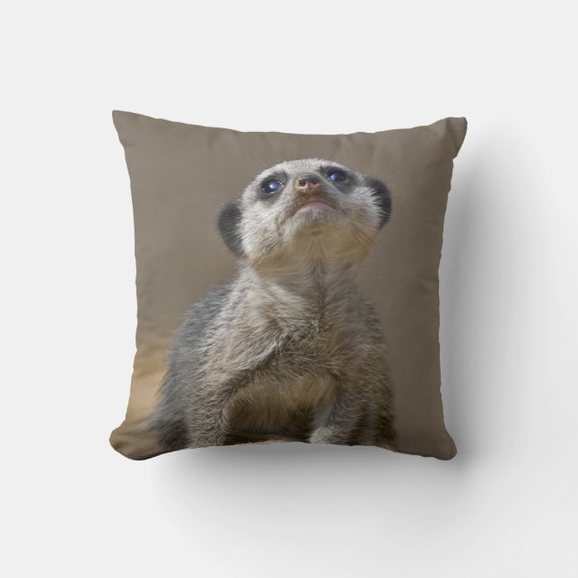 Almohada Kute Kat (Anverso)