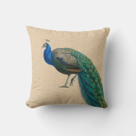 Almohada la colorida del pavo real de la almohada