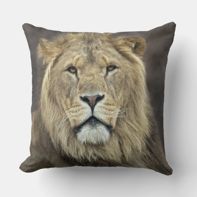 Almohada Leo (Anverso)