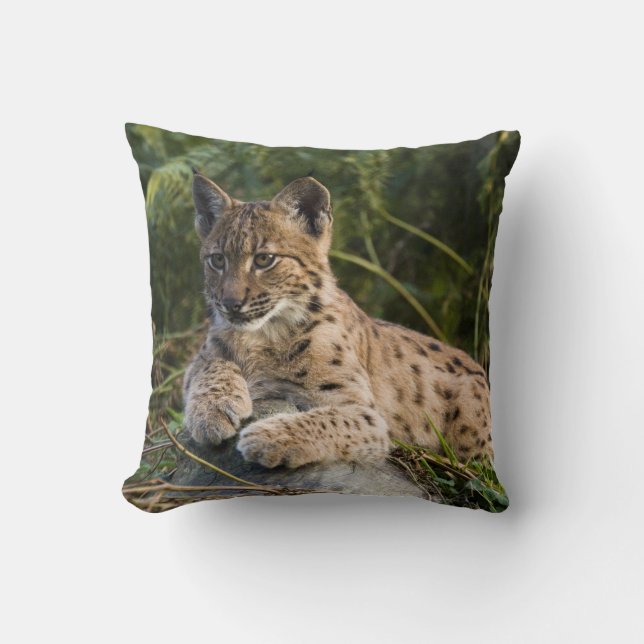 almohada - lince (Anverso)