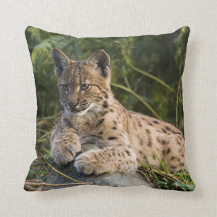 almohada - lince