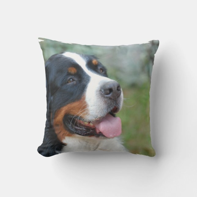 Almohada linda de Bernese (Anverso)