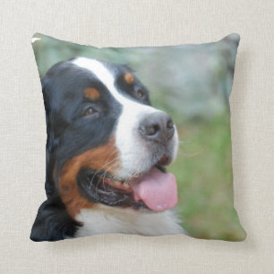 Almohada linda de Bernese