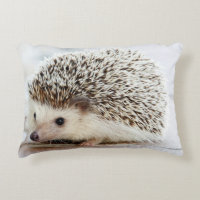Almohada linda de la decoración del erizo del bebé