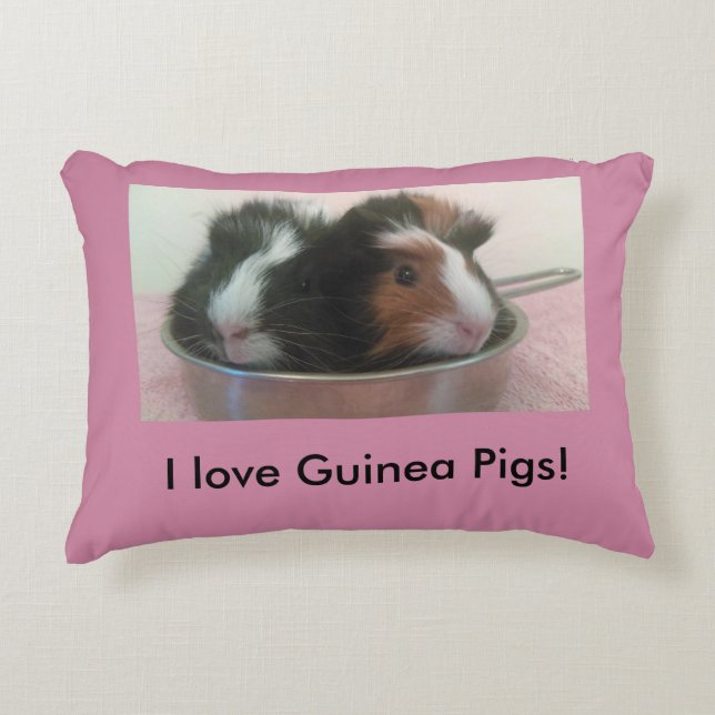 almohada linda del conejillo de Indias (Anverso)