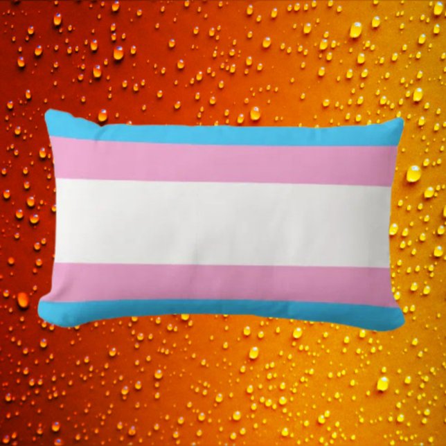 Almohada lumbar de apoyo al Orgullo Trans (Subido por el creador)