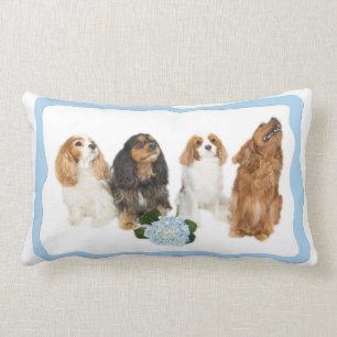 Almohada lumbar de cuatro Cavalier King Charles Sp