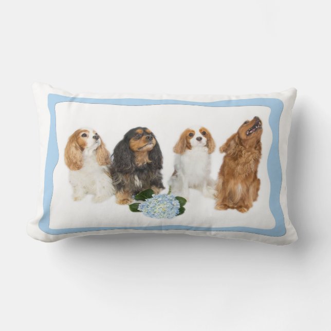 Almohada lumbar de cuatro Cavalier King Charles Sp (Anverso)