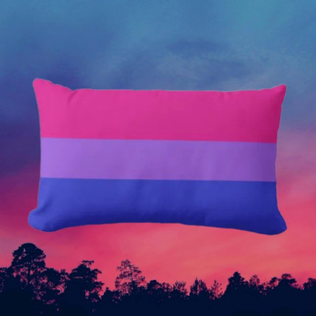 Almohada lumbar de orgullo Bi (Subido por el creador)