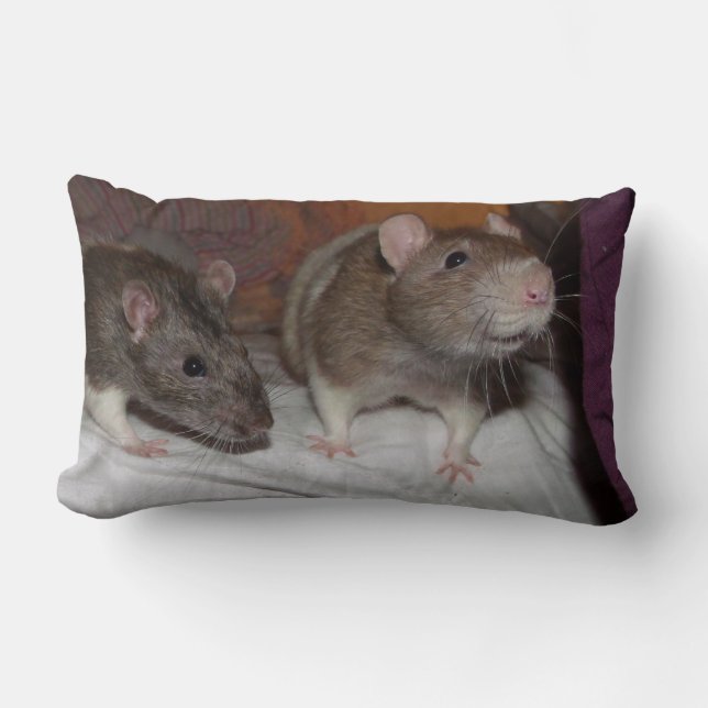 almohada lumbar de ratas (Anverso)