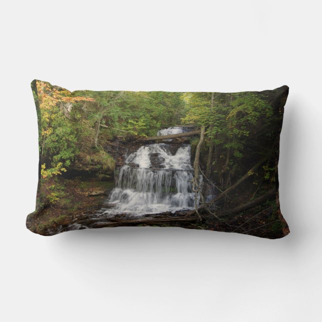 almohada lumbar de Wagner Fall (Anverso)