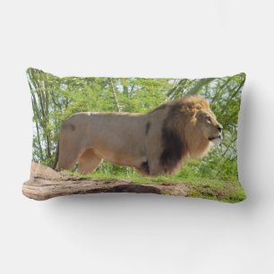 Almohada lumbar del rey de la jungla (León)