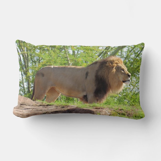 Almohada lumbar del rey de la jungla (León) (Anverso)
