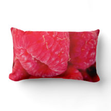 Almohada lumbar deslumbrante de frambuesa