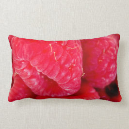 Almohada lumbar deslumbrante de frambuesa