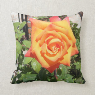 Almohada magnífica con color de rosa anaranjado de