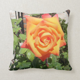 Almohada magnífica con color de rosa anaranjado de
