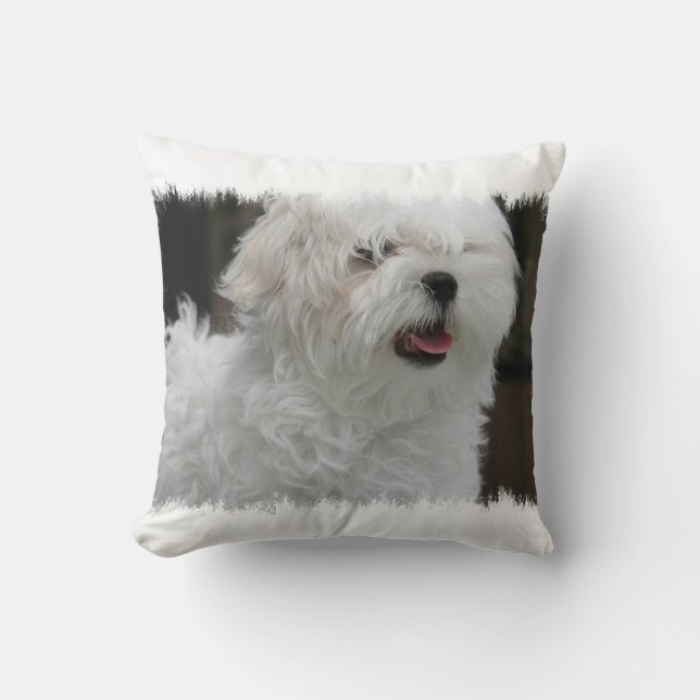 Almohada maltesa blanca del perrito (Anverso)