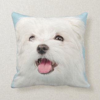 Almohada maltesa del perrito