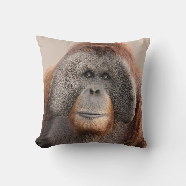 Almohada masculina de la fauna del orangután de (Anverso)