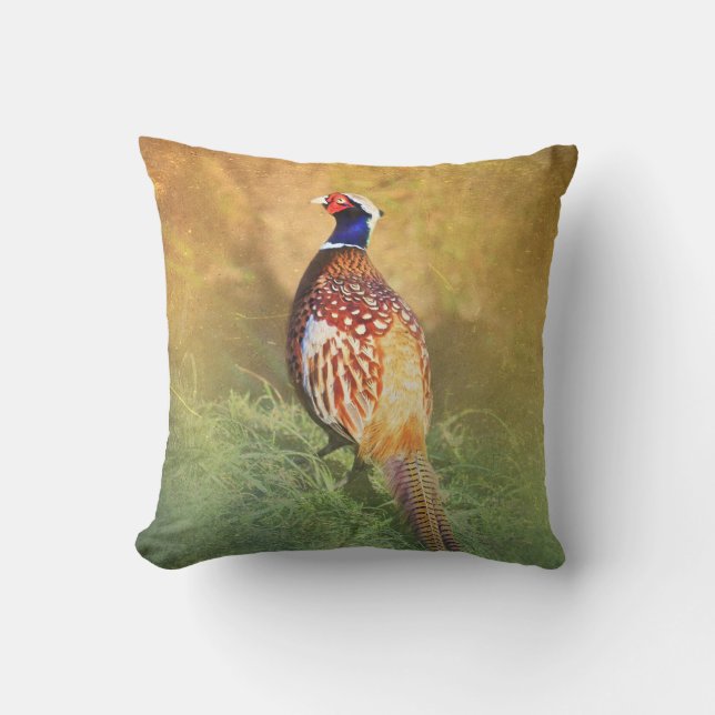 Almohada masculina del faisán (Anverso)