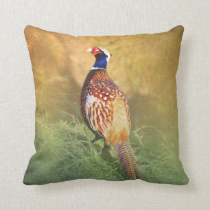 Almohada masculina del faisán