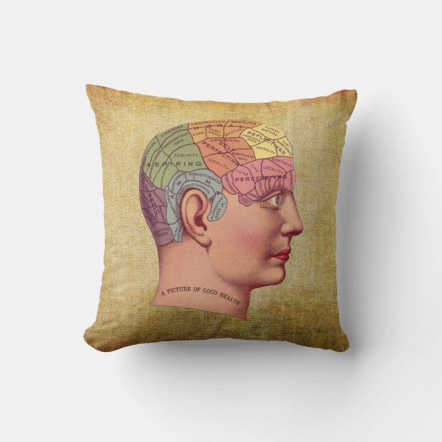 Almohada médica de la anatomía del cerebro del (Anverso)