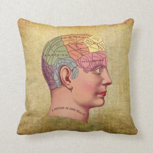 Almohada médica de la anatomía del cerebro del