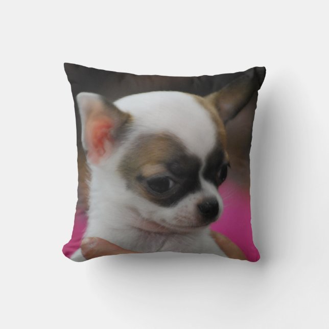 almohada - modificada para requisitos particulares (Anverso)