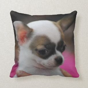 almohada - modificada para requisitos particulares