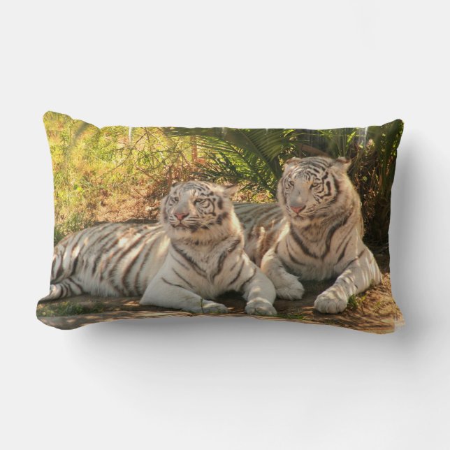 almohada - modificada para requisitos particulares (Anverso)