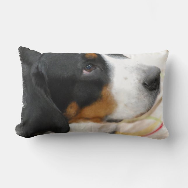 almohada - modificada para requisitos particulares (Anverso)