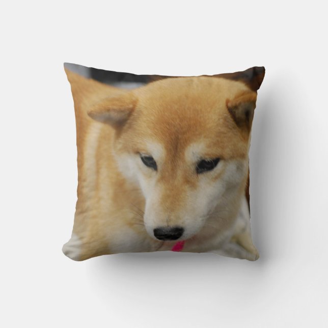 almohada - modificada para requisitos particulares (Anverso)