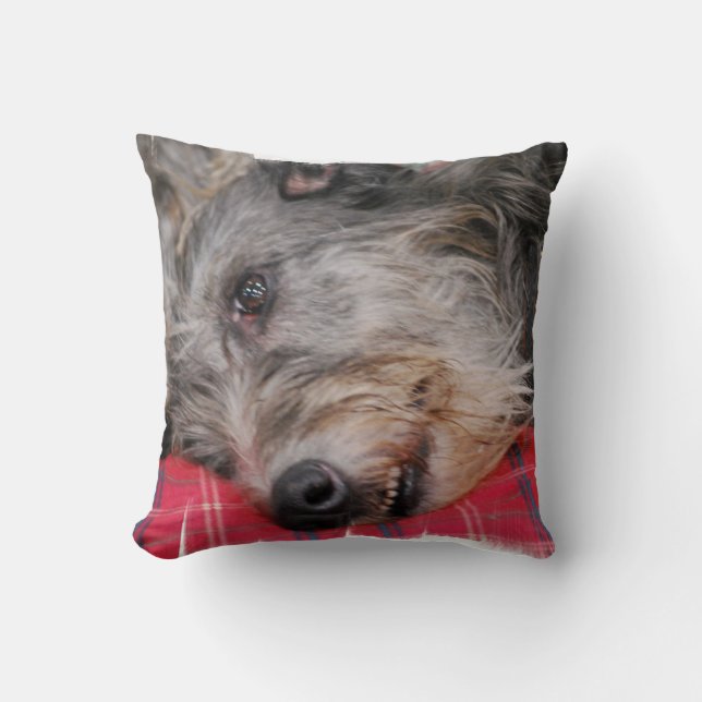 almohada - modificada para requisitos particulares (Anverso)