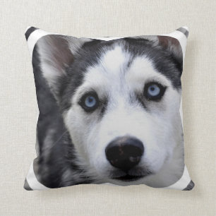 almohada - modificada para requisitos particulares