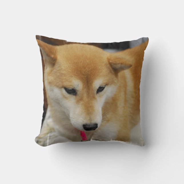 almohada - modificada para requisitos particulares (Anverso)