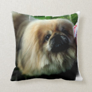 almohada - modificada para requisitos particulares