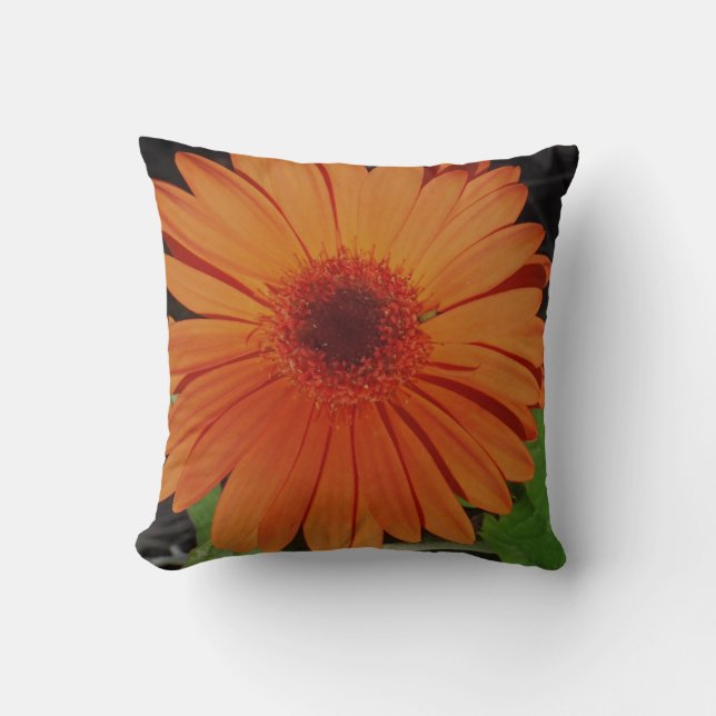 almohada naranja casi sólida, margarita gerber nar (Anverso)