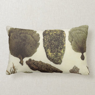 Almohada náutica del Lumbar de la vida marina del