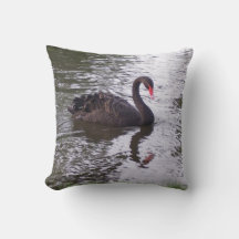 Almohada Negra de Cisne