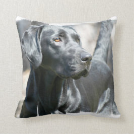 Almohada negra del laboratorio