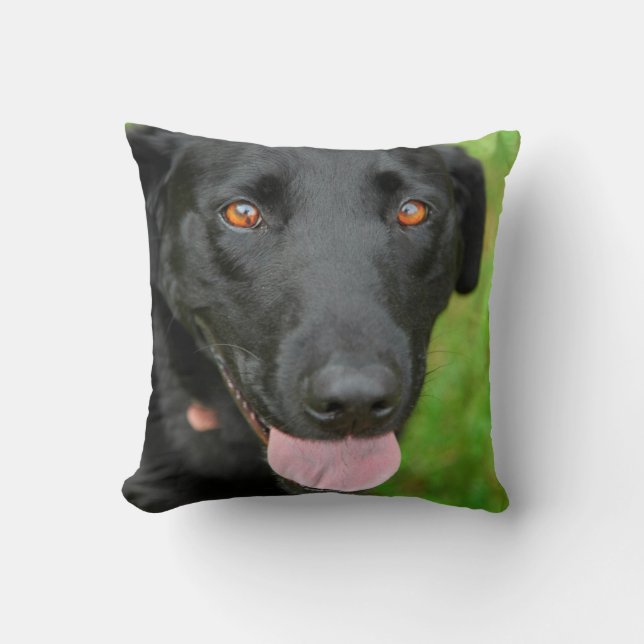 Almohada negra del laboratorio (Anverso)