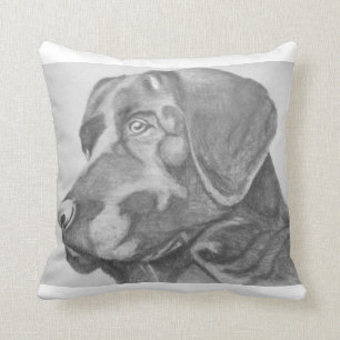 Almohada negra del laboratorio