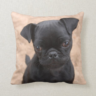 Almohada negra del perrito del barro amasado