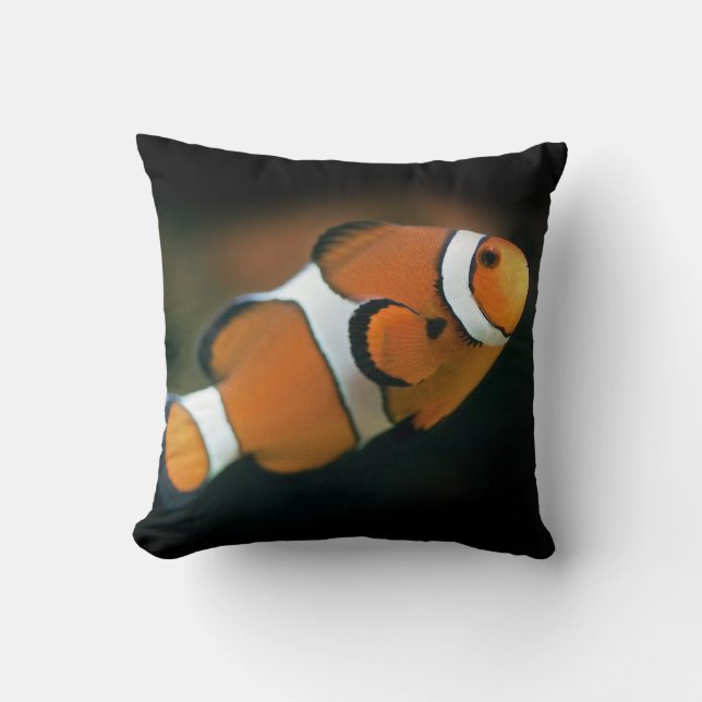 Almohada Nemo (Anverso)