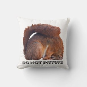 Almohada No Molestar (Blanco)