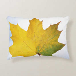 Almohada para cada habitación