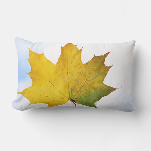 Almohada para cada habitación (Anverso)