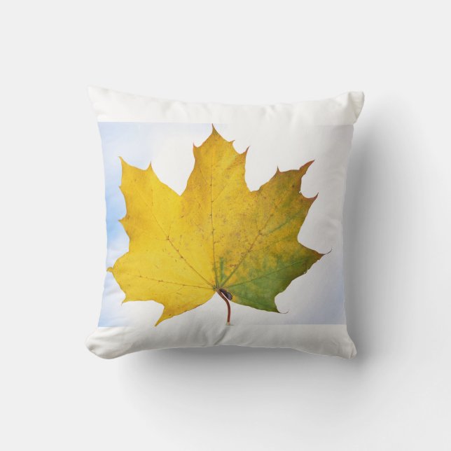 Almohada para cada habitación (Anverso)